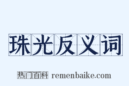 珠光反义词是什么意思的图片